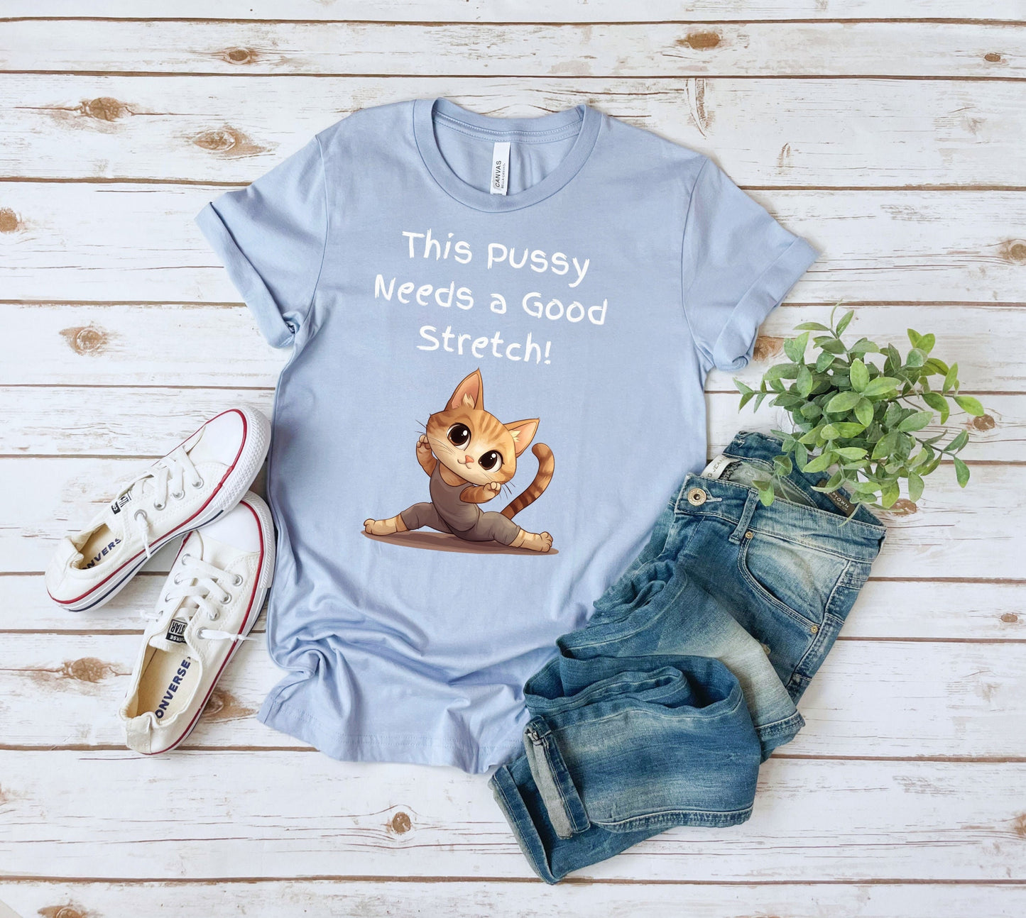 Bella and Canvas 3001 T Shirt with the Words This pussy needs a good stretch in finger paint font. Below the words there is a Cartoon cat stretching doing a split. Hilarious sexy shirt while stylish and comfortable
